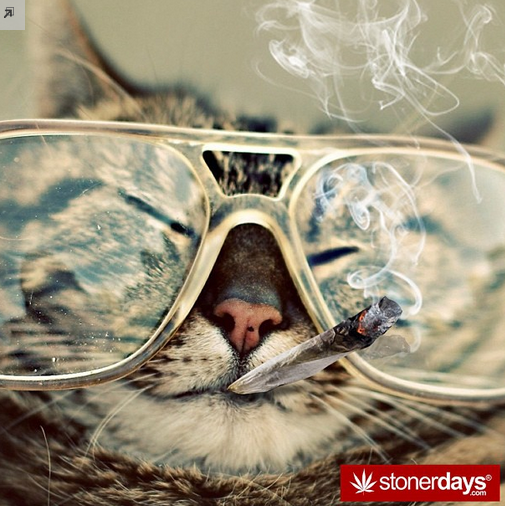 Screenshot20130721at12.56.31PM Hipster wallpaper