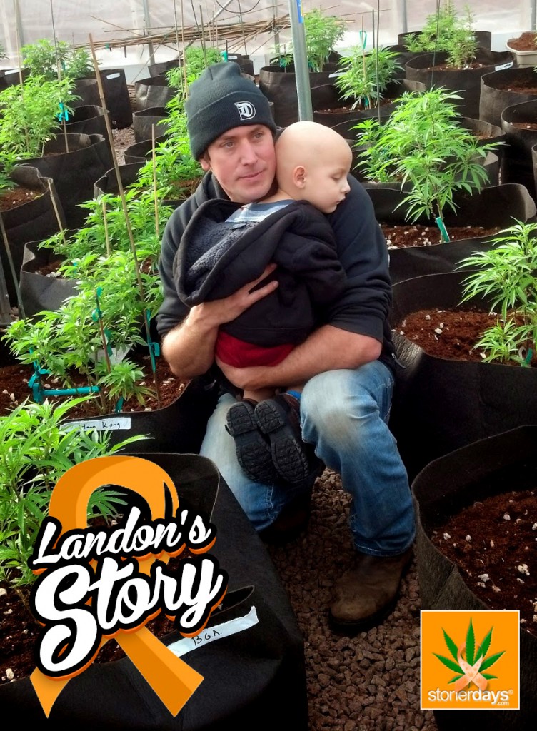 Landons Riddles cannabis cure