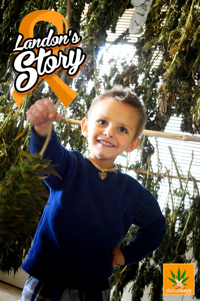 brandon riddles story stonerdays