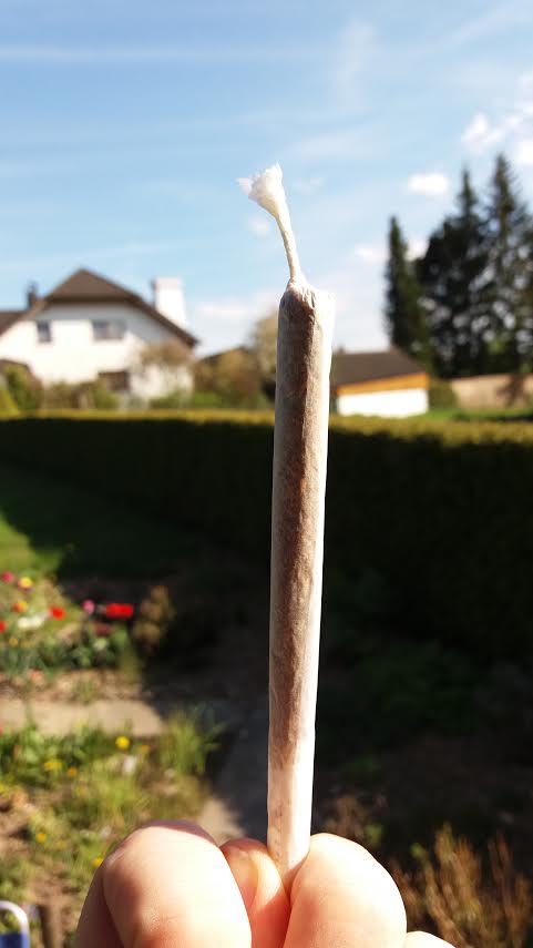 Stoner Pictures Updated Daily | StonerDays