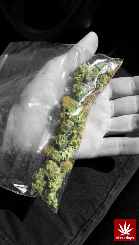 stonerdays-marijuana-baked-joints-blunts-sexy-(125)
