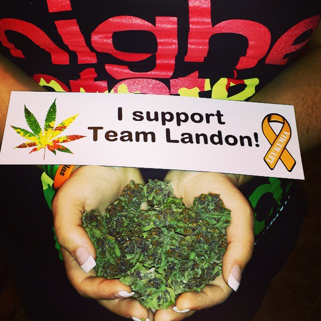 cannabis