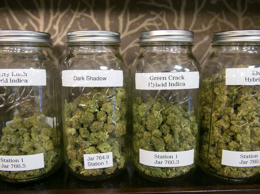 medical-marijuana-doctors-benifits medical-marijuana-doctors-benifits