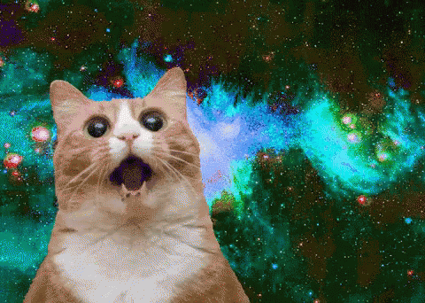 Marijuana Blog: Animals and Stoners Go Hand in Hand Marijuana Blog: Animals and Stoners Go Hand in Hand