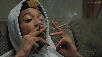 Cannabis Tolerance Trials and Tribulations Are All Part of Enjoying Marijuana