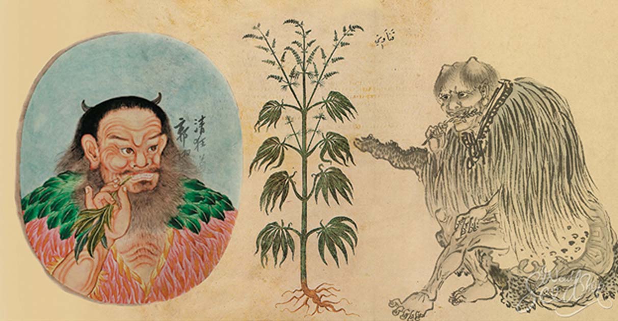 the-ancient-history-of-cannabis